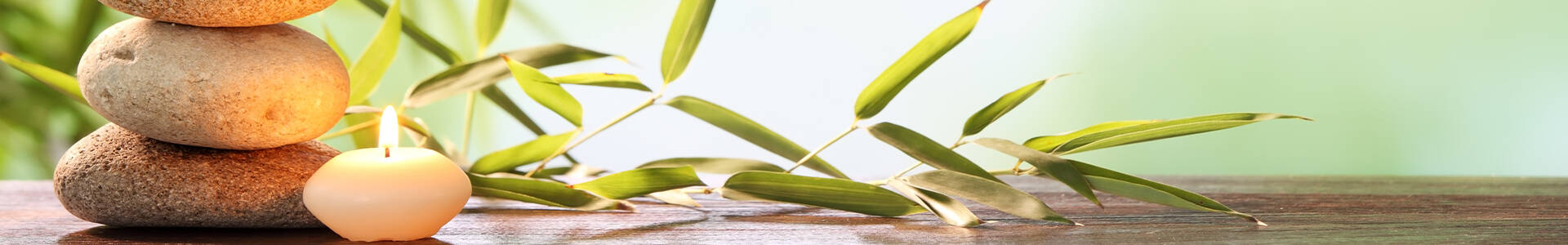 Wellness header gutschein shop ladysports brake